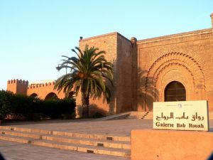 l'arbre de fer fleurira l'arbre de fer fleurira